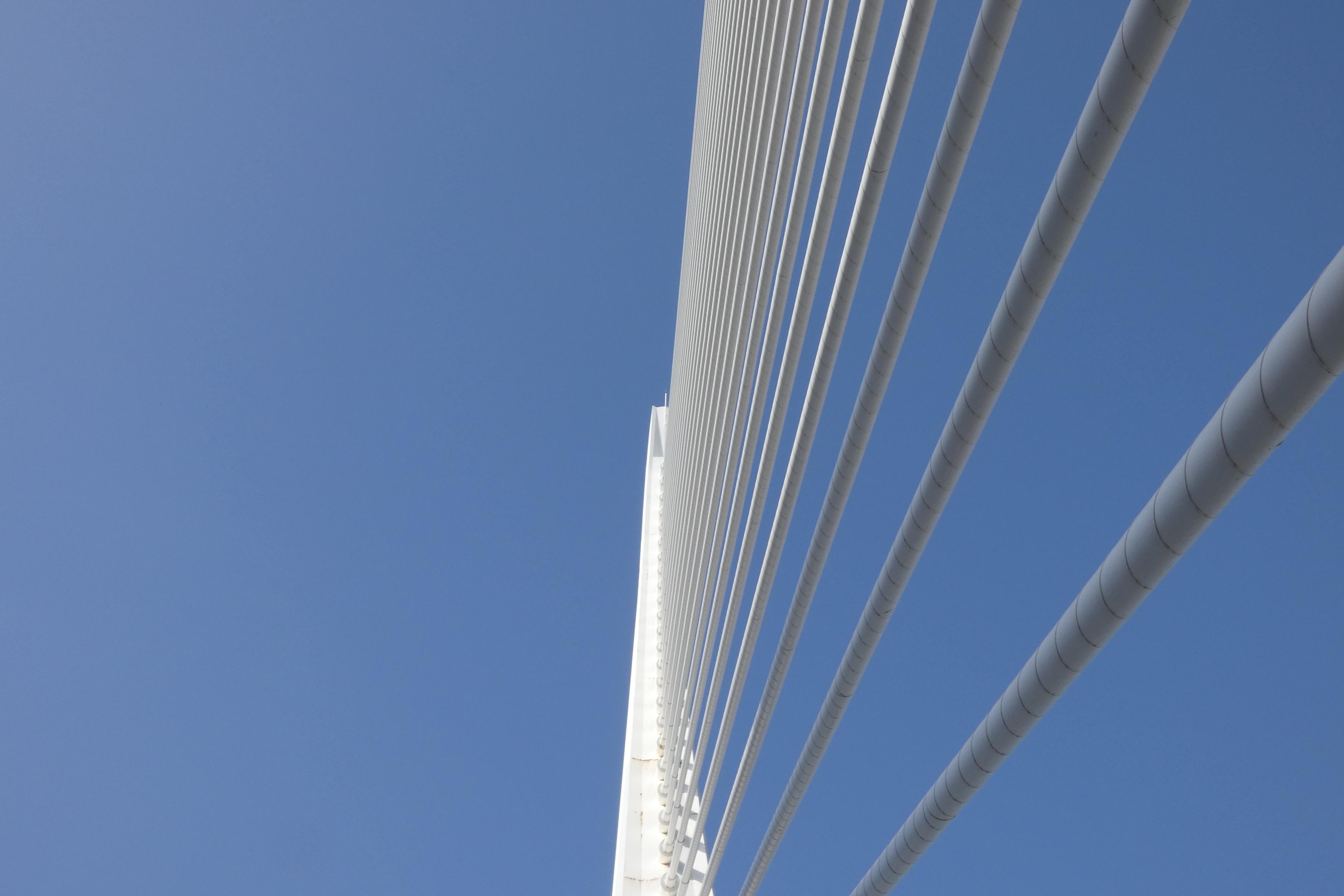 P1050432