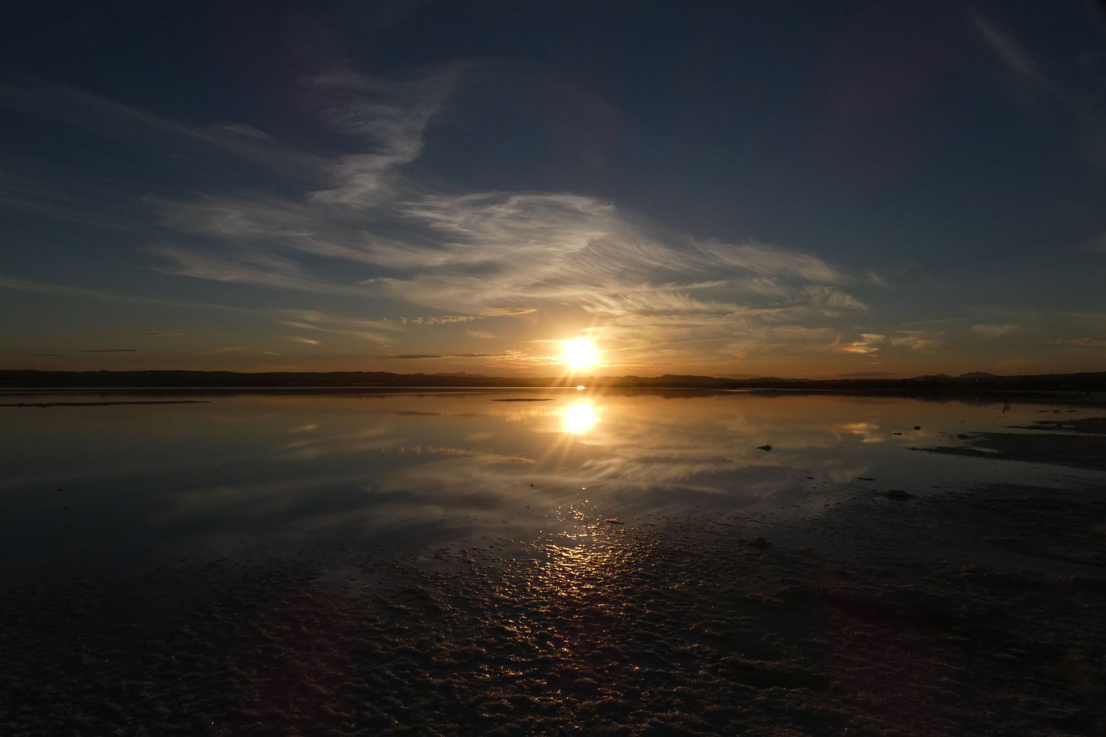P1050682_WEB_OPTIMIZED